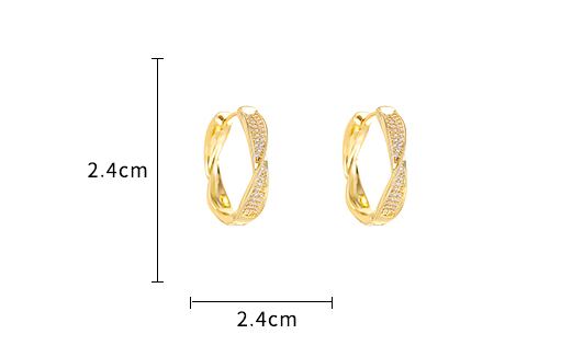 ツイストラインフープピアス A0228
